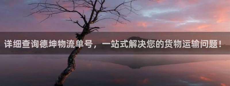 豪门国际链接来一个：详细查询德坤物流