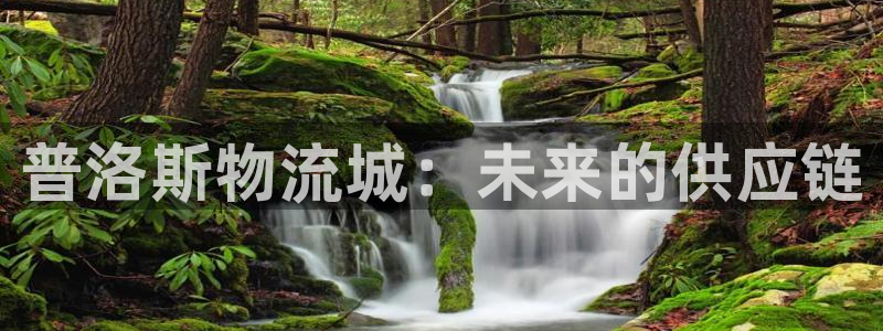 豪门国际娱乐官网网页入口：普洛斯物流