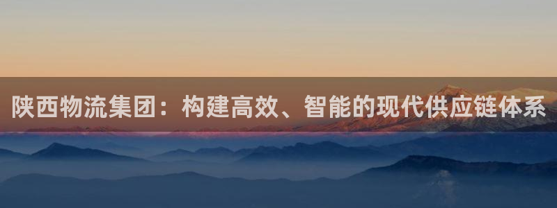 豪门国际游戏链接：陕西物流集团：构建