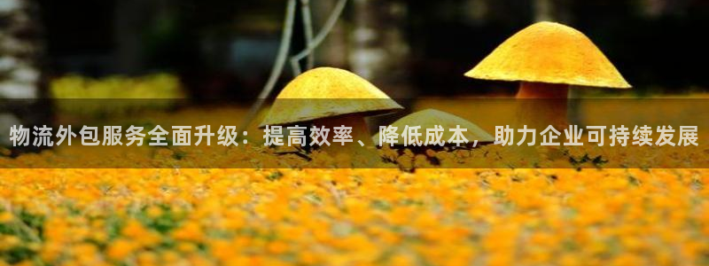 豪门国际稳吗：物流外包服务全面升级：