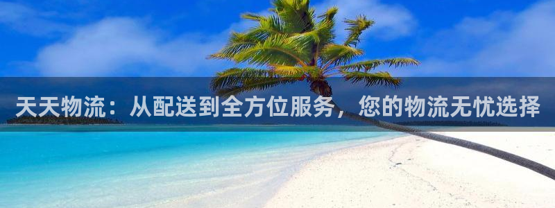 豪门国际pg麻将胡了：天天物流：从配