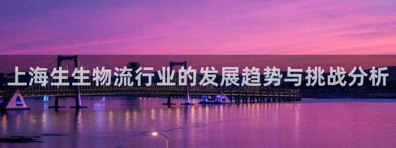 豪门国际官网下载谁有：上海生生物流行