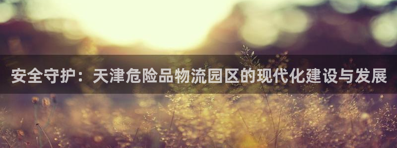 豪门国际旗下：安全守护：天津危险品物