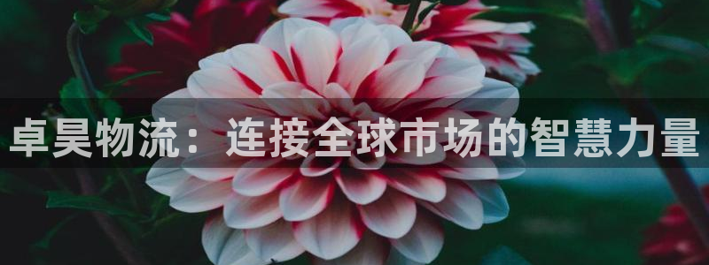 豪门国际预测加拿大：卓昊物流：连接全