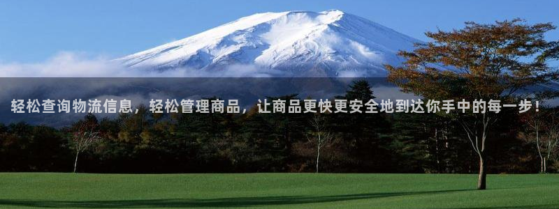豪门国际游戏：轻松查询物流信息，轻松