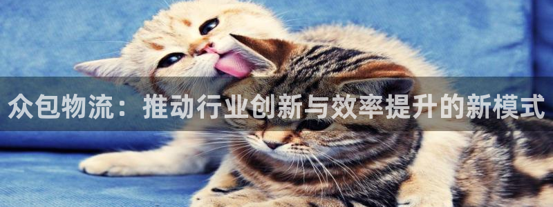 豪门国际app能退款吗：众包物流：推