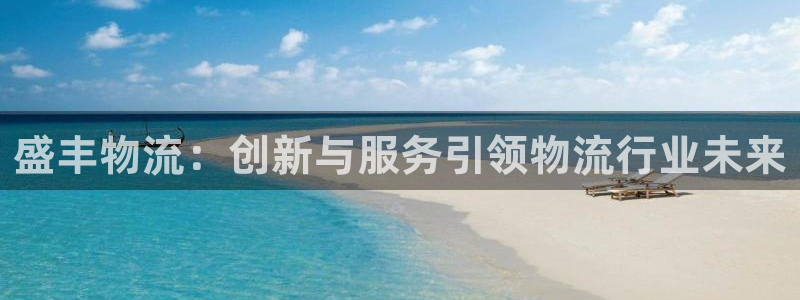 豪门国际辅助：盛丰物流：创新与服务引