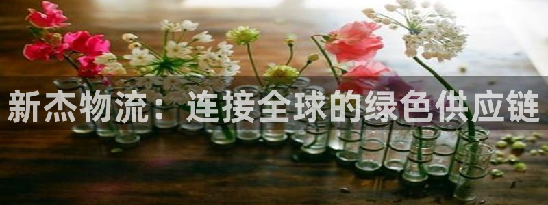 加拿大豪门国际数字规则：新杰物流：连