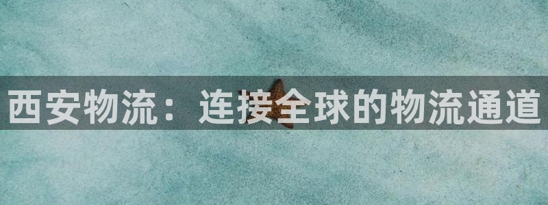 豪门国际代理落网：西安物流：连接全球