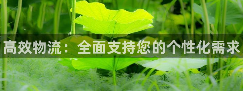 豪门国际官网下载加拿大：高效物流：全
