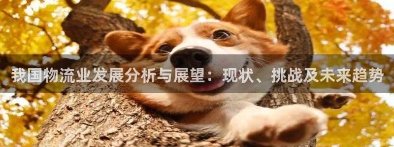 豪门国际加拿大走势：我国物流业发展分