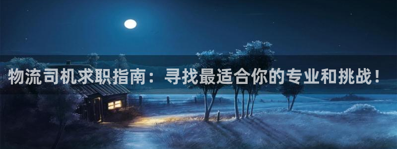 豪门国际游戏官网版：物流司机求职指南