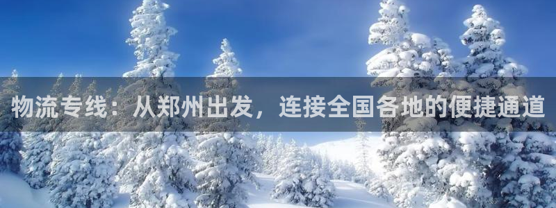 豪门国际二维码：物流专线：从郑州出发