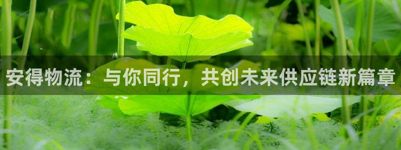 豪门国际图片：安得物流：与你同行，共
