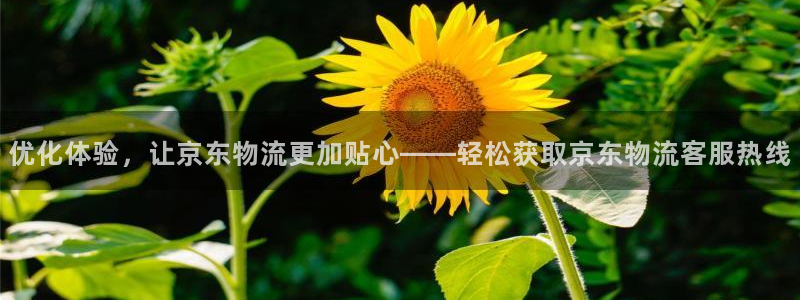 豪门国际链官网：优化体验，让京东物流