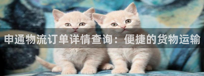 豪门国际注册：申通物流订单详情查询：便捷的货物运输