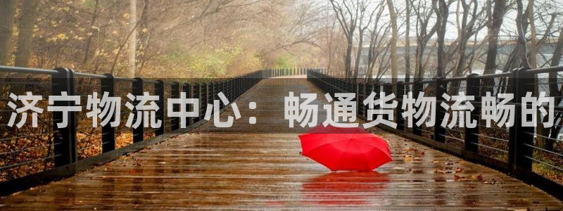 豪门国际娱乐官网网页下载：济宁物流中