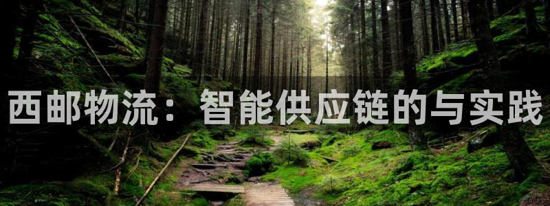 豪门国际注册链接入口：西邮物流：智能