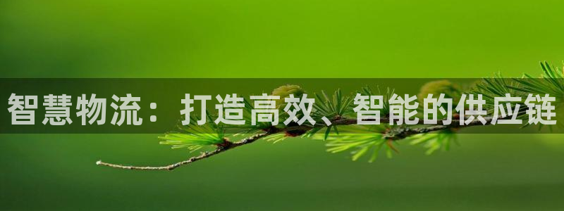 豪门国际ccm官网版:智慧物流:打造