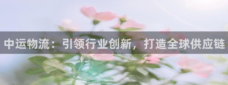 豪门国际官方网站:中运物流:引领行业