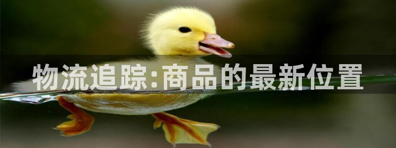 豪门国际注册网页：物流追踪:商品的最新位置