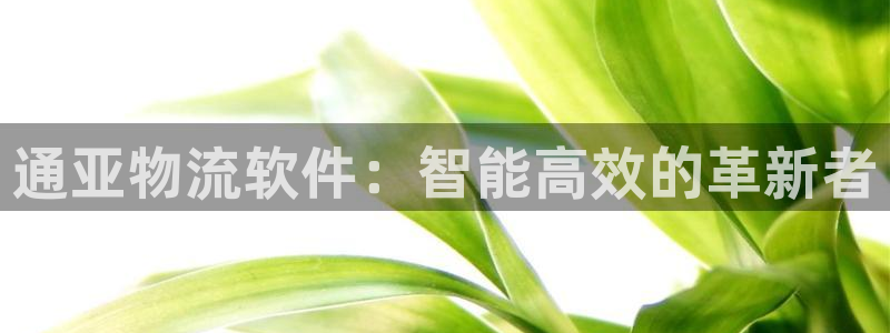 豪门国际模拟器下载：通亚物流软件：智