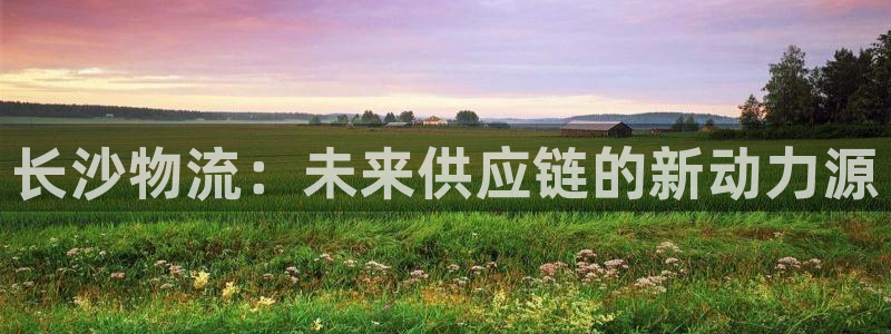 豪门国际下载二维码：长沙物流：未来供