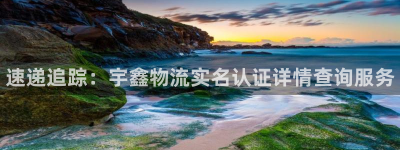 豪门国际h5链接