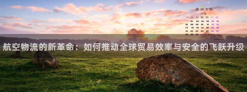 豪门国际稳吗：航空物流的新革命：如何