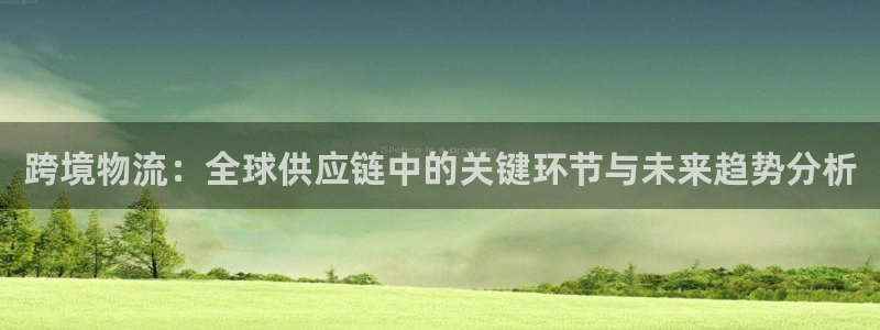 豪门国际登录用户名登录不上：跨境物流