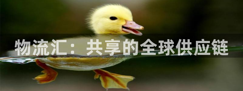 豪门国际麻将胡了在线试玩：物流汇：共