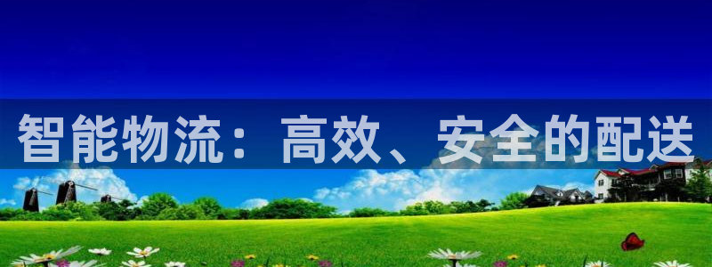 pc豪门国际怎么注册：智能物流：高效